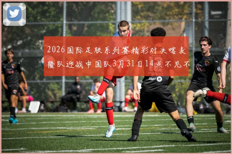 2026国际足联系列赛精彩对决喀麦隆队迎战中国队3月31日14点不见不散