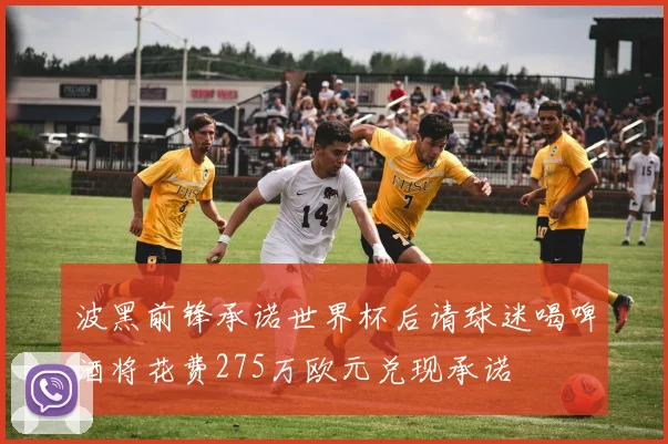 波黑前锋承诺世界杯后请球迷喝啤酒将花费275万欧元兑现承诺