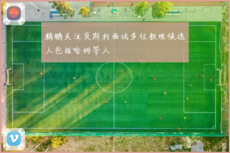 鹈鹕关注莫斯利面试多位教练候选人包括哈姆等人