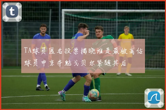 TA球员匿名投票揭晓谁是最被高估球员申京夺魁戈贝尔紧随其后